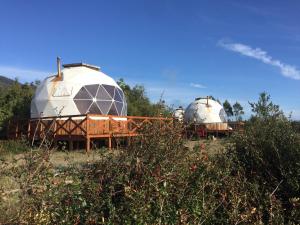 Huiro Lodge Domos y Avistamiento de Fauna Marina