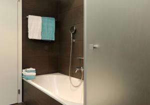 Apartment Superior Parrot