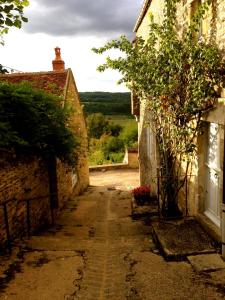 Appartements The Good Studio Vezelay : photos des chambres