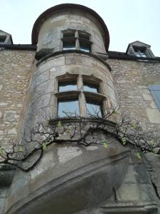 Appartements The Good Studio Vezelay : photos des chambres