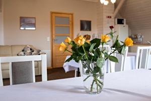 Agroturystyka u Jarka