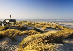 Appartements Residence grand jardin attenant tennis, mini golf, sauna, petanque : photos des chambres