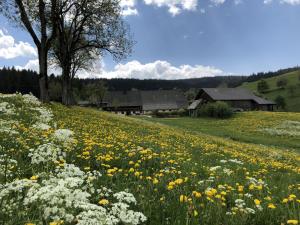 Apartement Biobetrieb Lippenhof Breitnau Saksamaa