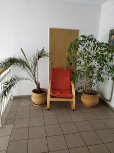 Kulturně Společenské Centrum