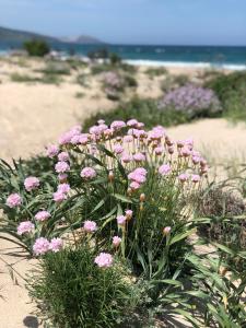 Appartamenti Abbaidda 3 img55