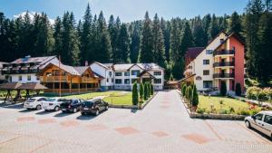 Double Room room in Pensiunea Sami