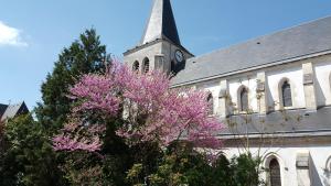 Maisons d'hotes Le P'tit Pouilly du Val de Loire en Bourgogne ! : photos des chambres