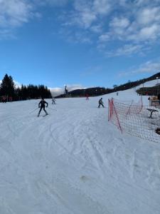 Апартаменты Solnce Karpat