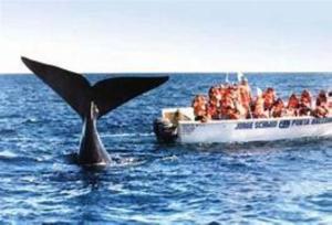 Apartamento Confortable Samai Huasi