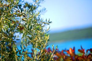 Apartment Villa Mare3 with pool, sea view and hydromassage