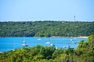 Apartment Villa Mare3 with pool, sea view and hydromassage