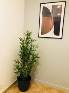 Appartements Beau 2 pieces Evry Centre : photos des chambres