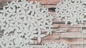 Apartamento Jazmín 49 Centro - Adults Recommended