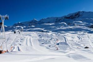 Hotels Le Pic Blanc : photos des chambres