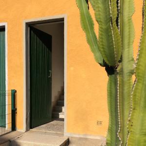 Appartamenti vicini al mare a Giglio campese