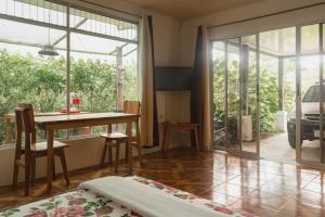 Santuario de Ranas - Explora nuestro paraíso natural