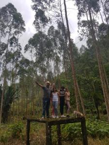 Arkdia Glamping Zone