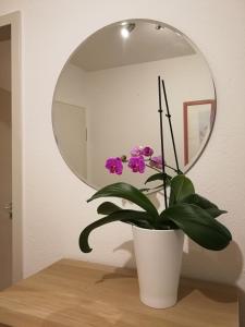 Apt next to Nuremberg central-station, Fair 10min