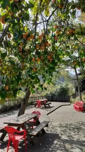 Dasanbang Pension - Sangun-ni