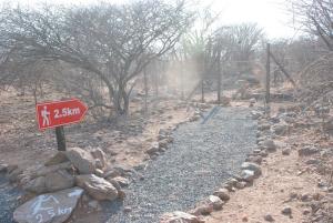 Oppi-Koppi Rest Camp