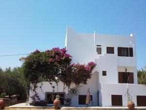 Naxos Garden Naxos Greece