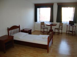 Single Room room in Penzion Aviatik