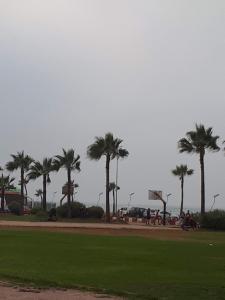 Riad Sidi Rahal Beach