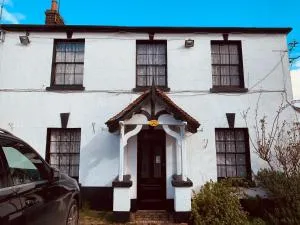 莱恩啤酒坊酒店 - 戈德尔明