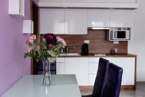 Apartma Rubin Deluxe Apartman S&aacute;rv&aacute;r Madžarska