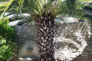 Villas MAS de la CHICANE : photos des chambres