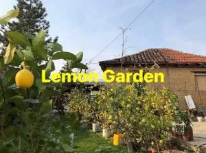 Lemon Garden - Petrovec