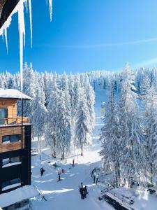 Rtanj Kopaonik Eco Resort & Spa