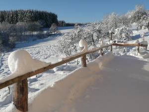 B&B / Chambres d'hotes Les Grandes Fontaines : photos des chambres