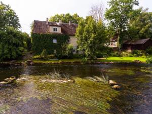 Lossi 8-5 Põltsamaa Erika