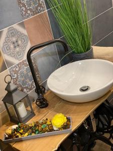 Pedal Apartman Szeged City