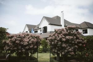 Accommodation in Bay Of Plenty