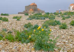 Appartements Sea Wind and Sun : photos des chambres