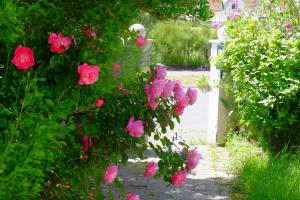 Appartements Sea Wind and Sun : photos des chambres