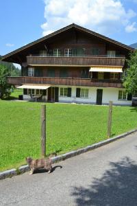 3 star appartement Apartment Oey-Hus Lenk im Simmental Suisse