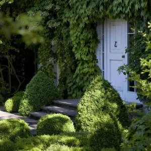 Landhaus Ettenbühl Bed and Breakfast - 坎德尔恩