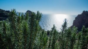 Il Tramonto Tanca Piras img56