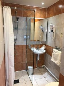Hotels Le Relais Du Lac : photos des chambres