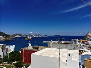 Maridea - Turritella