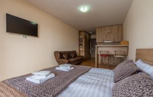 New Gudauri - Anas Apartment