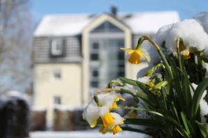 3 star hotel Hotel am Wallgraben Brilon Njemačka