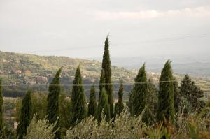 Agriturismo Borgo La Casetta