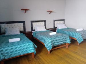 Misti Hostel B&B