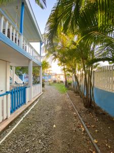 The Odyssey Resort Utila