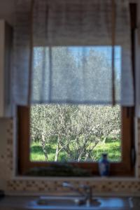 Villa Dijana West 