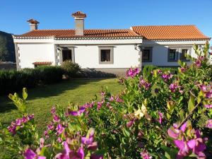 Ferienhaus VILLA LUCAS Vega de San Mateo Spanien